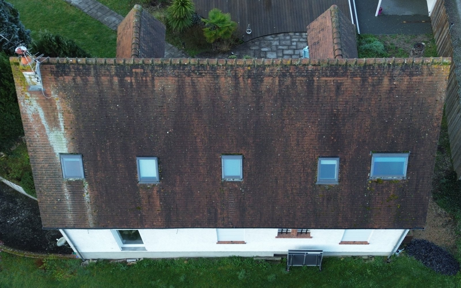Toiture couverte de mousse avant démoussage par drone